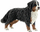 schleich® Farm World Hunde - 16397 Berner Sennenhündin, ab 3 Jahre