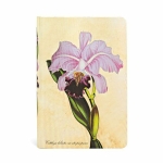 Paperblanks Hardcover Notizbuch Brasilianische Orchidee...
