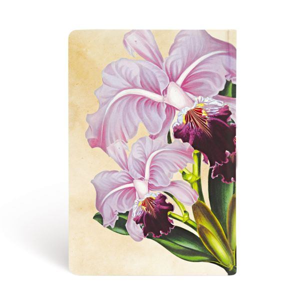 Paperblanks Hardcover Notizbuch Brasilianische Orchidee Mini UNL Paperblanks Hardcover Notizbuch Brasilianische Orchidee Mini UNL