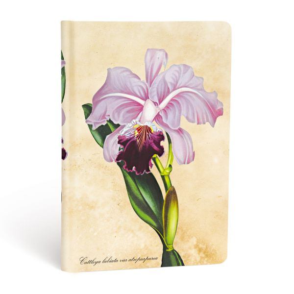 Paperblanks Hardcover Notizbuch Brasilianische Orchidee Mini UNL Paperblanks Hardcover Notizbuch Brasilianische Orchidee Mini UNL