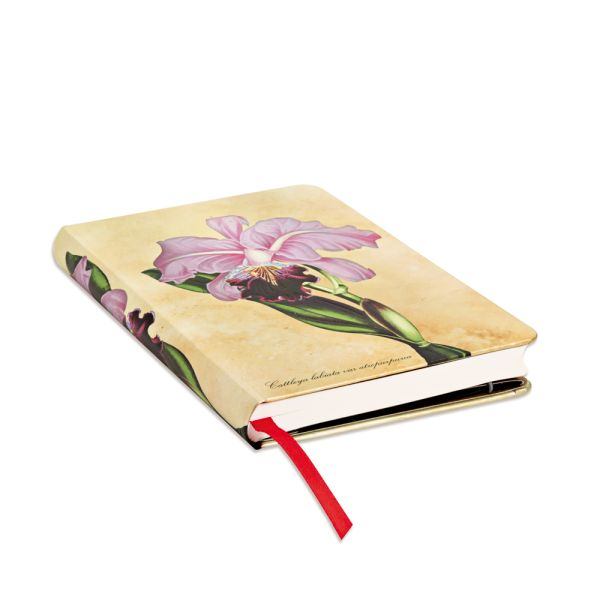 Paperblanks Hardcover Notizbuch Brasilianische Orchidee Mini UNL Paperblanks Hardcover Notizbuch Brasilianische Orchidee Mini UNL