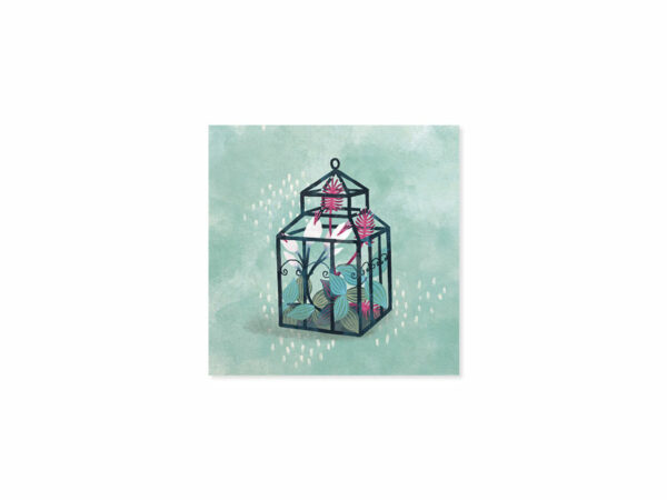 Orchid Terrarium Orchid Terrarium