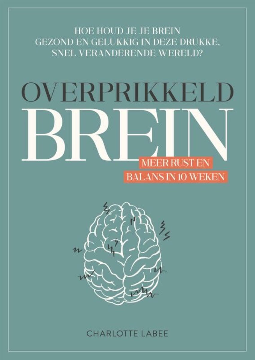Charlotte Labee: Overprikkeld brein