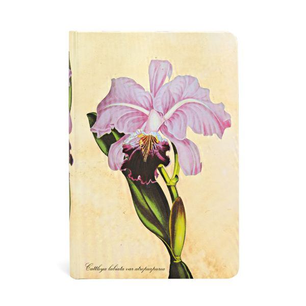 Paperblanks Hardcover Notizbuch Brasilianische Orchidee Mini UNL Paperblanks Hardcover Notizbuch Brasilianische Orchidee Mini UNL
