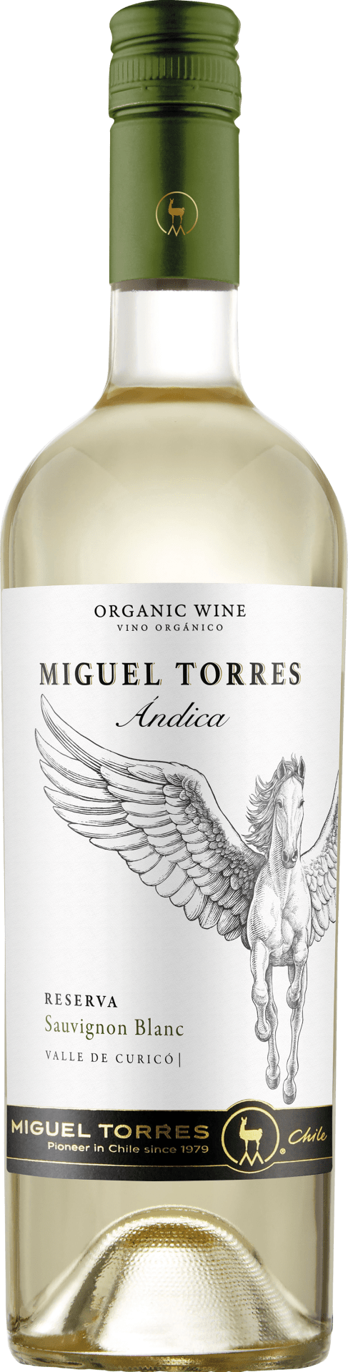 Miguel Torres Chile - Ándica Sauvignon Blanc Reserva Curicó Valley