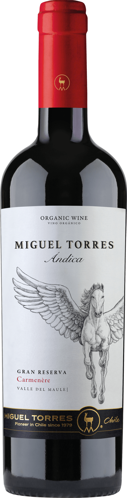 Miguel Torres Chile - Ándica Carmenère Gran Reserva Maule Valley